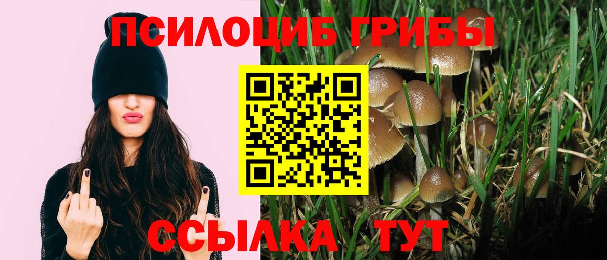 Южноуральск  Галлюциногенные грибы Psilocybine cubensis  магазин  наркотиков  Псилоцибиновые грибы мухоморы  Вход с VPN 